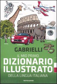 gabrielli aldo; gabrielli g. (curatore) - il mio primo dizionario illustrato della lingua italiana. ediz. illustrata