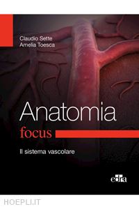 sette claudio; toesca amelia - focus anatomia - il sistema vascolare