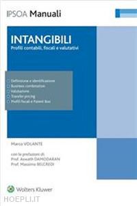 damodaran aswath; belcredi massimo - intangibili: profili contabili fiscali e valutativi