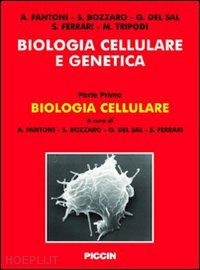 fantoni a. (curatore); bozzaro s. (curatore); del sal g. (curatore) - biologia cellulare e genetica. vol. 1