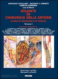 cavallaro antonio; sterpetti antonio v.; baeberini fabrizio - atlante di chirugia delle arterie. vol. 1/2