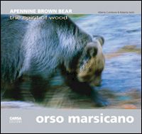 cambone alberto; isotti roberto - orso marsicano. apennine brown bear. the spirit of wood. ediz. italiana e ingles