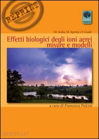 scalia massimo; sperini massimo; guidi fabrizio; pulcini f. (curatore) - effetti biologici degli ioni aerei. misure e modelli'