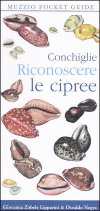 zobele lipparini giovanna; negra osvaldo - conchiglie riconoscere le cipree