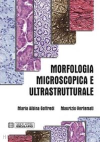 goffredi m. albina; vertemati maurizio - morfologia microscopica e ultrastrutturale. istologia e anatomia microscopica