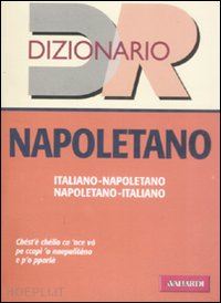 amato b. (curatore); pardo a. (curatore) - dizionario napoletano. italiano-napoletano, napoletano-italiano