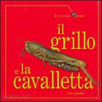 morris ting - il grillo e la cavalletta