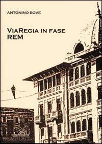 bove antonino - viaregia in fase rem