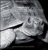 avanzi marta - voglio una tartaruga terrestre