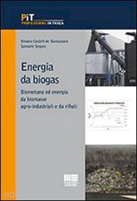 castelli de sannazzaro silvia; segato samuele - energia da biogas