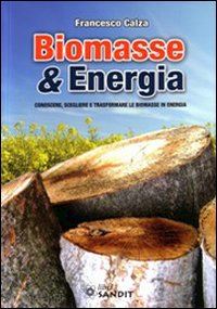 calza francesco - biomasse & energia