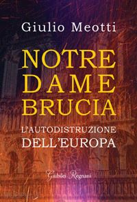 meotti giulio - notre dame brucia