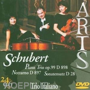  - franz schubert - trio per piano d 898 op 99 n.1 in si (1827) (dvd audio)