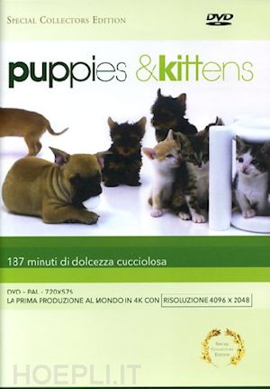 timm hogerzeil - puppies & kittens (special collector's edition)