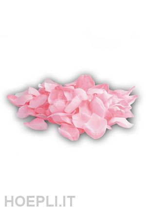  - carnival toys: 9502: 72 petali rosa