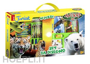 aa vv - focus junior - nature - set stationary 40 pz