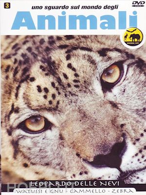  - sguardo sul mondo degli animali - leopardo delle nevi