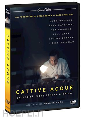 todd haynes - cattive acque