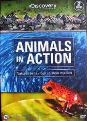 - animals in action (2 dvd) [edizione: paesi bassi]