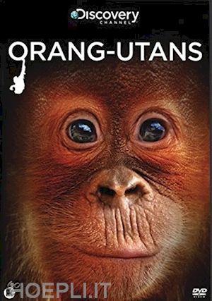  - orangutans [edizione: paesi bassi]