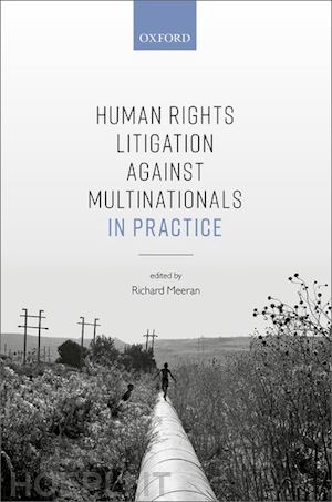 meeran richard (curatore); meeran jahan (curatore) - human rights litigation against multinationals in practice