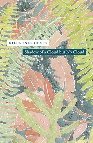clary killarney - shadow of a cloud but no cloud