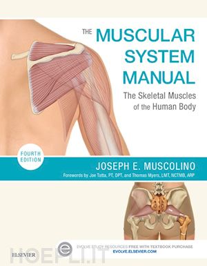 joseph e. muscolino - the muscular system manual