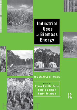 rosillo-calle frank (curatore); bajay sergio v. (curatore); rothman harry (curatore) - industrial uses of biomass energy