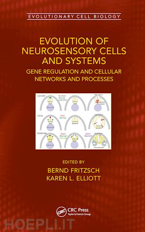 fritzsch bernd (curatore); elliott karen l. (curatore) - evolution of neurosensory cells and systems