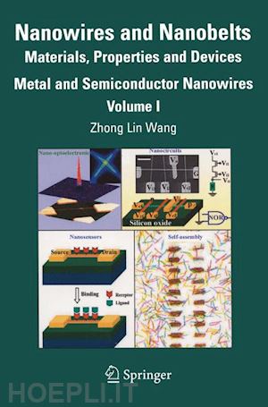 wang zhong lin (curatore) - nanowires and nanobelts