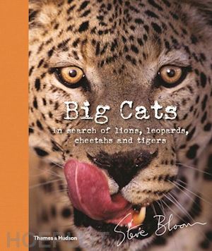bloom steve - big cats: in search of lions, leopards, cheetahs, and tigers
