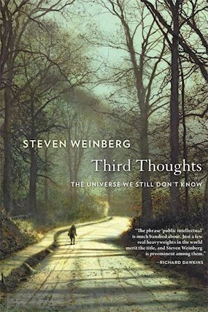 weinberg steven - third thoughts – the universe we still don't know