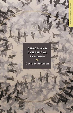 feldman david p. - chaos and dynamical systems
