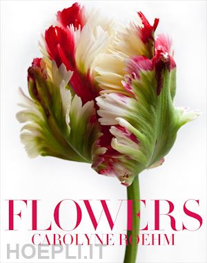 rohem carolyne - flowers