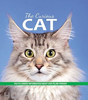 collins fern - the curious cats