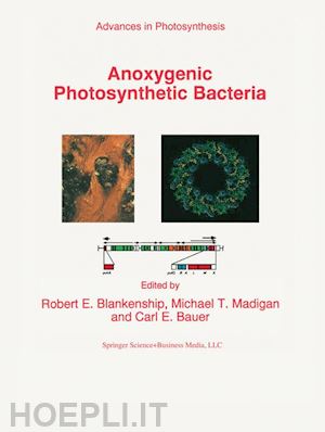 blankenship r.e. (curatore); madigan michael t. (curatore); bauer c.e. (curatore) - anoxygenic photosynthetic bacteria