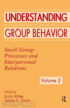 witte erich h. (curatore); davis james h. (curatore) - understanding group behavior