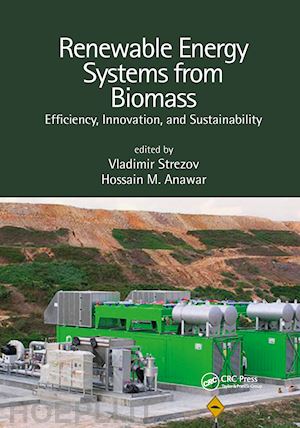 strezov vladimir (curatore); anawar hossain md. (curatore) - renewable energy systems from biomass