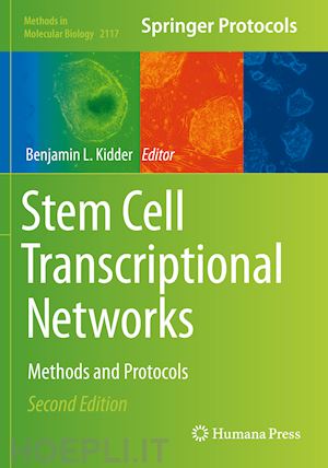 kidder benjamin l. (curatore) - stem cell transcriptional networks
