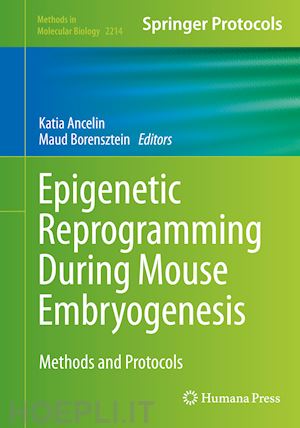 ancelin katia (curatore); borensztein maud (curatore) - epigenetic reprogramming during mouse embryogenesis