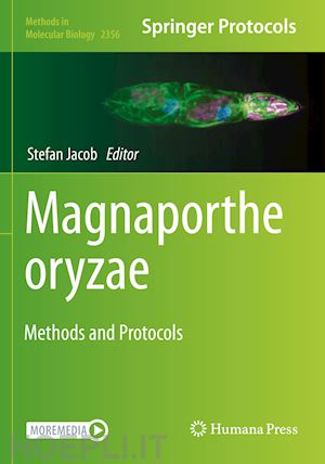 jacob stefan (curatore) - magnaporthe oryzae