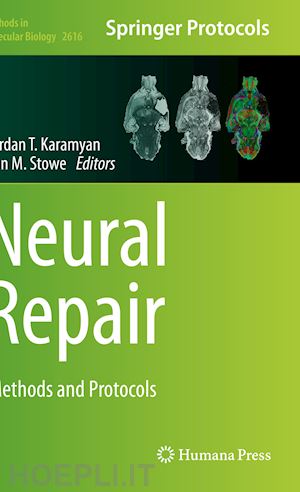 karamyan vardan t. (curatore); stowe ann m. (curatore) - neural repair