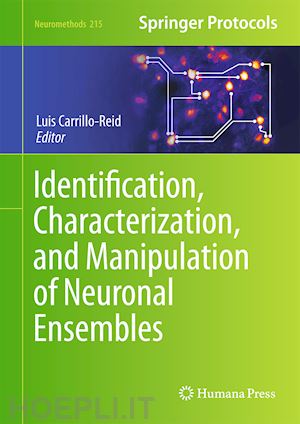 carrillo-reid luis (curatore) - identification, characterization, and manipulation of neuronal ensembles