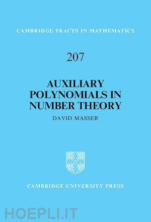 masser david - auxiliary polynomials in number theory