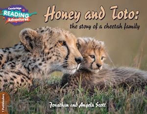 scott jonathan and angela - honey and toto: the story of a cheetah family. pathfinders. cambridge reading adventures