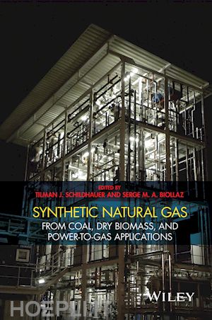 schildhauer t - synthetic natural gas from coal, dry biomass, and power–to–gas applications