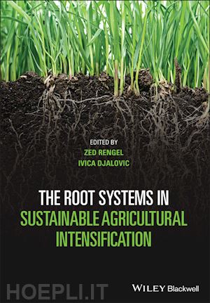 rengel z - the root systems in sustainable agricultural intensification