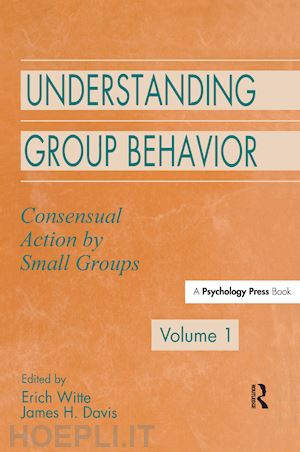 witte erich h. (curatore); davis james h. (curatore) - understanding group behavior