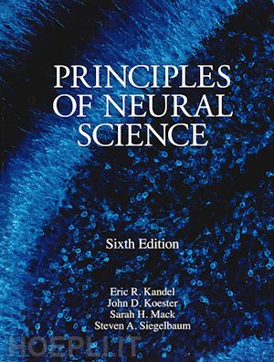 kandel e. - principles of neural science