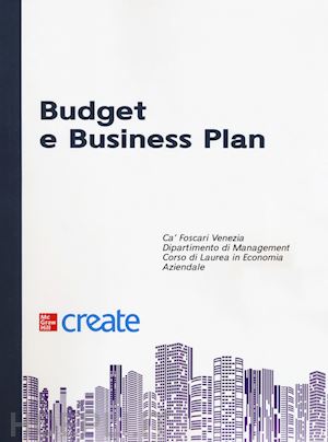 - budget e business plan
